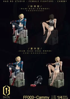 1/4 Scale Cammy - Street Fighter Resin Statue - Hao Bo Studio