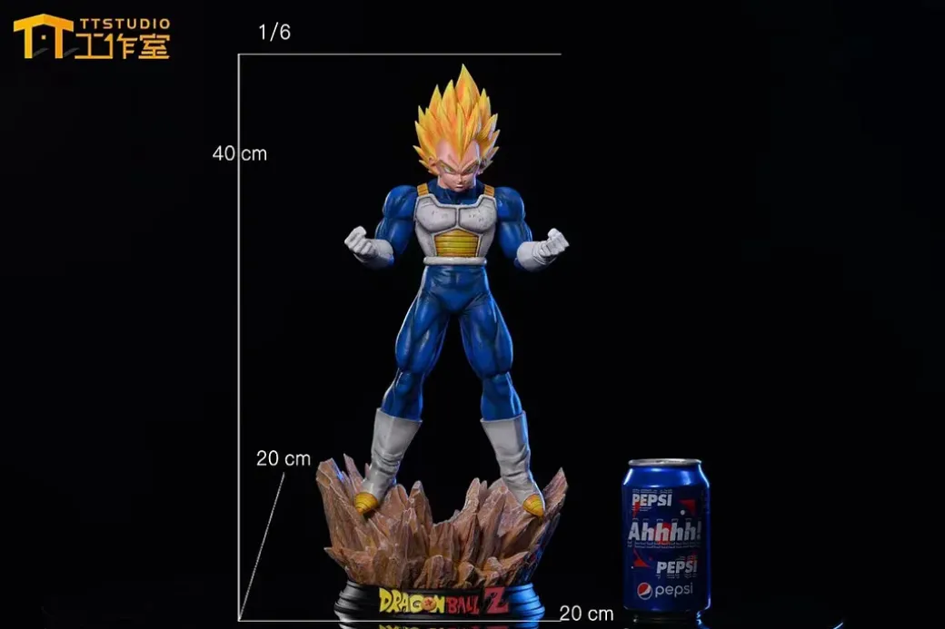 1/6 Scale Super Saiyan Vegeta - Dragon Ball Resin Statue - TT-Studio