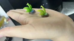 1/20 Scale World Zukan Oddish Set - Pokemon Resin Statue - HuaJuan Studio