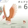 1/20 Scale World Zukan Set 4 Part 1 - Pokemon Resin Statue - SXG Studios