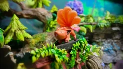 1/20 Scale World Zukan Twin Vulpix - Pokemon Resin Statue - The Studio
