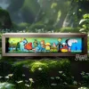 3D Decorative Paint of SpongeBob SquarePants Cosplay Straw Hat Crew - SpongeBob SquarePants ONE PIECE Decorative Painting - momo Studio