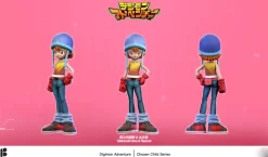 MH & 1/6 Scale Sora Takenouchi & Biyomon - Digimon Resin Statue - Butterfly Studio