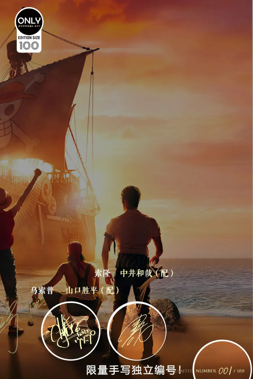 ONE PIECE Live-Action Drama Sepecial Decorative Painting - ONE PIECE Decorative Painting - Mystical Art Studios