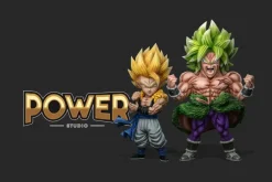 WCF Scale Broly - Dragon Ball Statue - Power Studio
